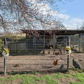 Foto eines Hauses mit H&uuml;hnerstall in Schleswig-Holstein