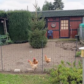 Foto eines Hauses mit H&uuml;hnerstall in Nordrhein-Westfalen