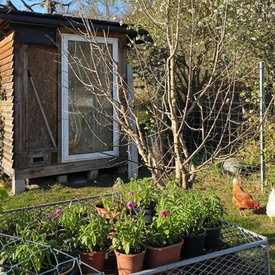 Foto eines Hauses mit H&uuml;hnerstall in Bayern